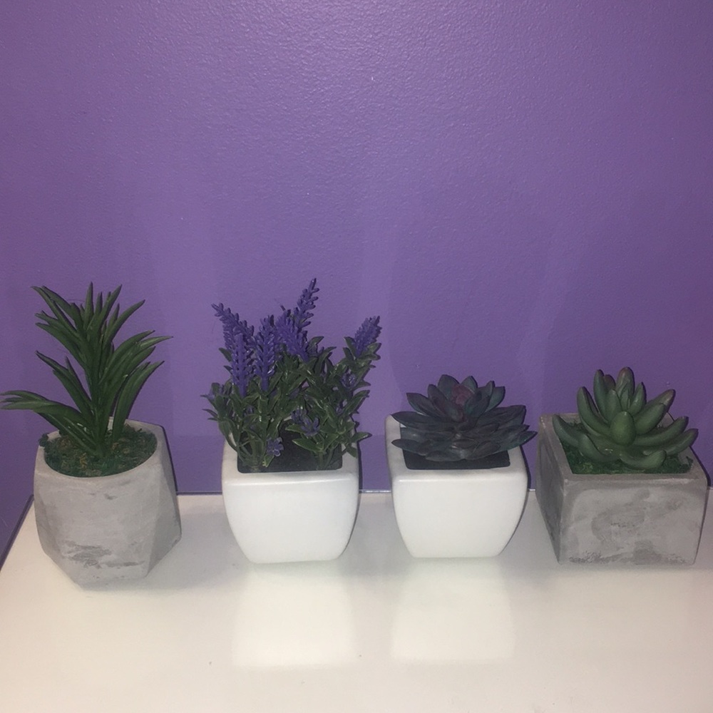 Four Faux Succulents